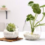 Wholesale Glass Vase HP-042 - Image 4